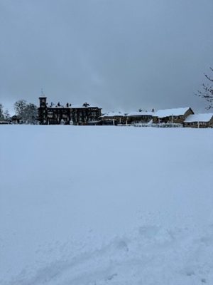 The Story in Pictures: Snow Day!
